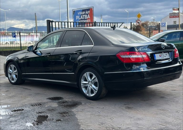 Mercedes-Benz E trieda Sedan 250 CDI Blue Elegance A/T